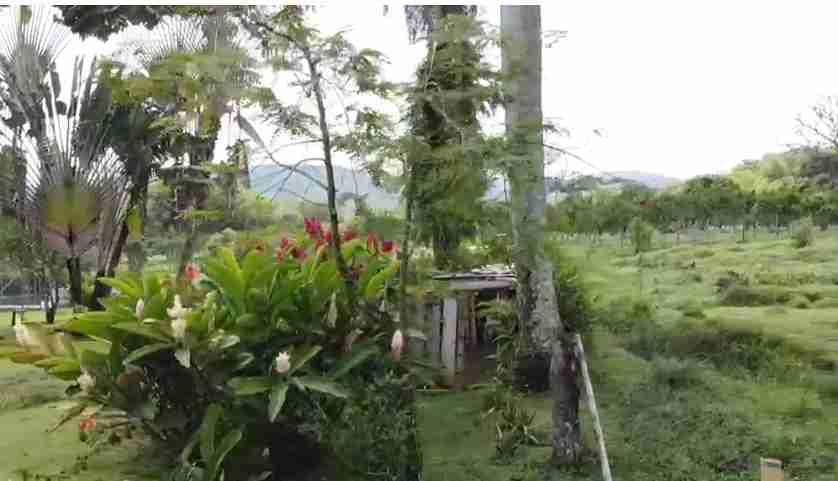 Foto de Lote / terreno para Venta en Vereda santagueda, Palestina - 279057325