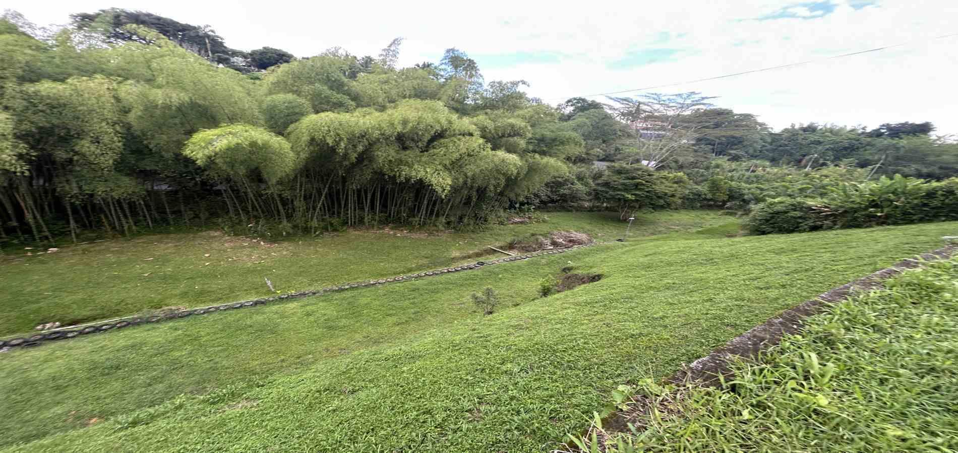 Foto de Lote / terreno en Venta en Pueblito cafetero, Pereira - 6 - 279068769