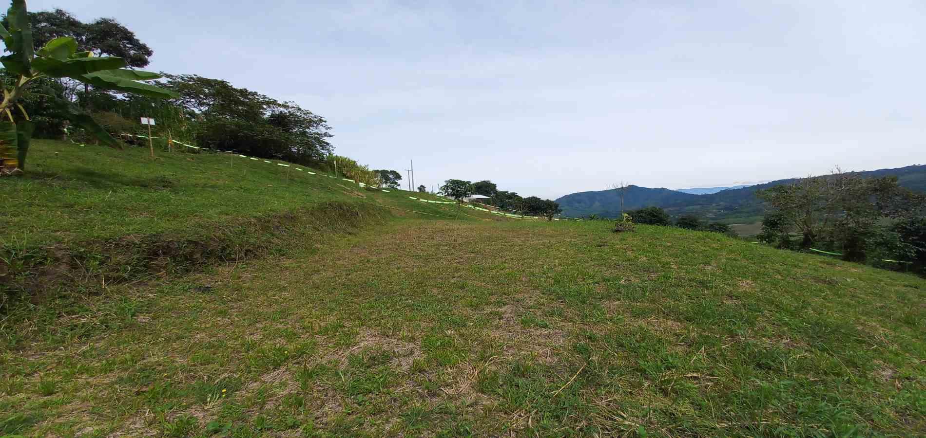 Foto de Lote / terreno en Venta en Combia, Pereira - 7 - 279069588