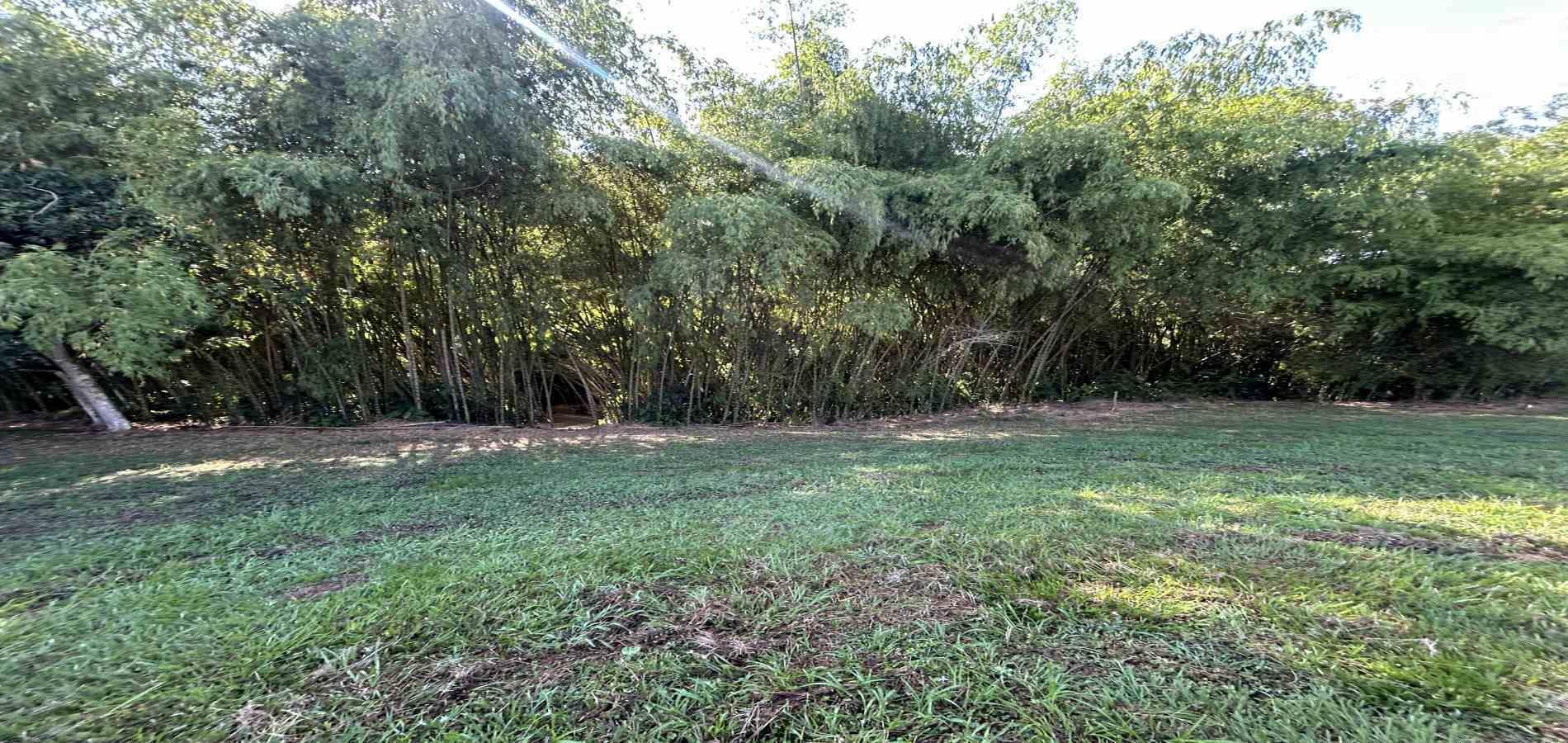 Foto de Lote / terreno en Venta en Cerritos, Pereira - 5 - 279069202