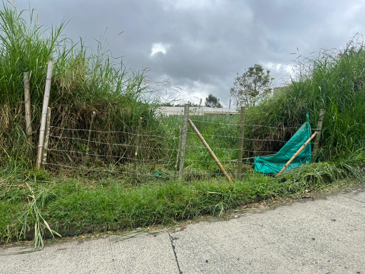 Foto de Lote / terreno en Venta en Via armenia, Pereira - 7 - 279063098