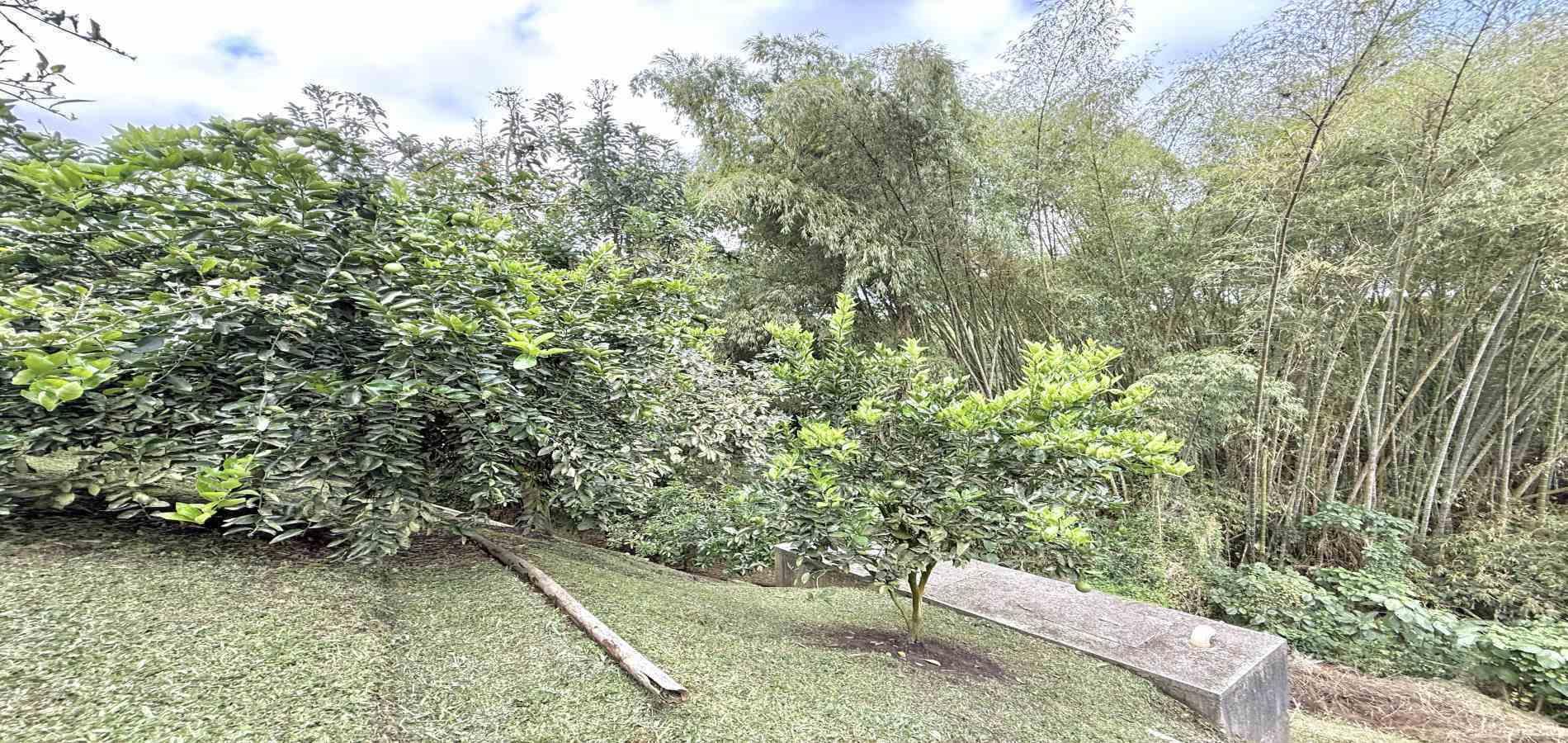 Foto de Casa campestre en Venta en Combia, Pereira - 29 - 279062116