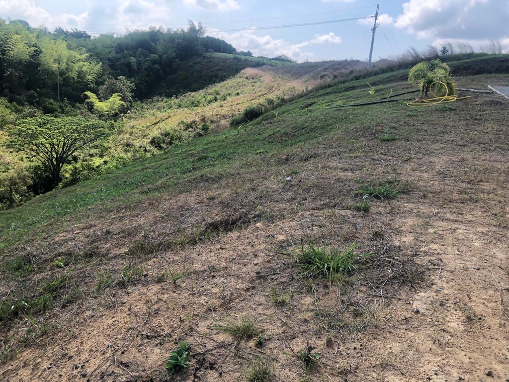 Foto de Lote / terreno en Venta en Cerritos, Pereira - 4 - 2790555100