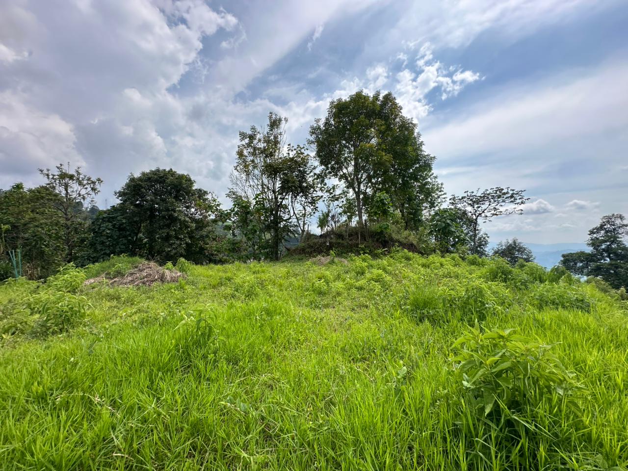Foto de Lote / terreno en Venta en Arenillo, Manizales - 5 - 279067215