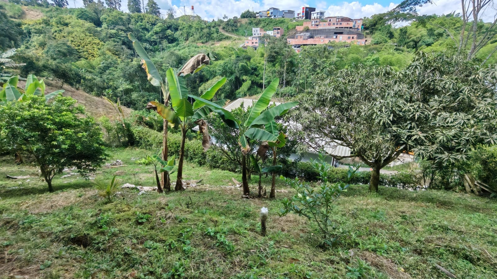 Foto de Casa campestre para Venta en La muleta, Palestina - 279063714