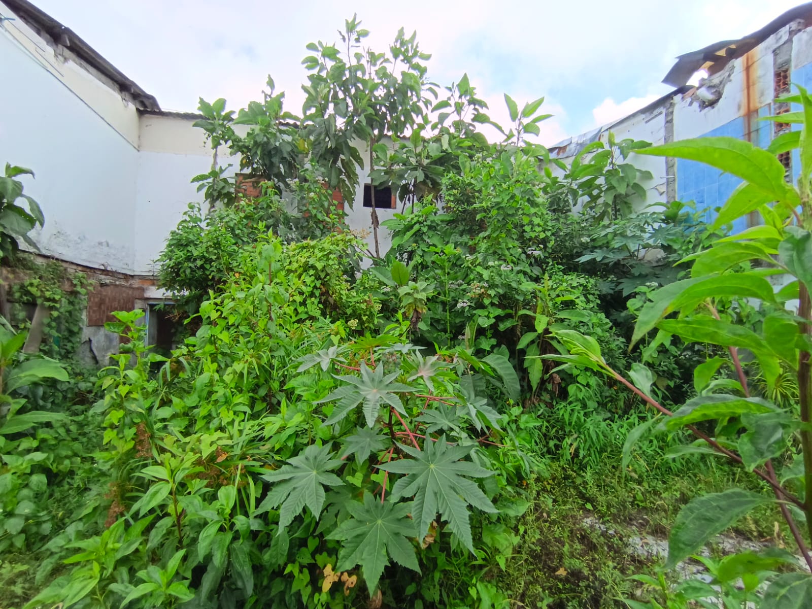 Foto de Lote / terreno en Venta en Fátima, Manizales - 13 - 279068979
