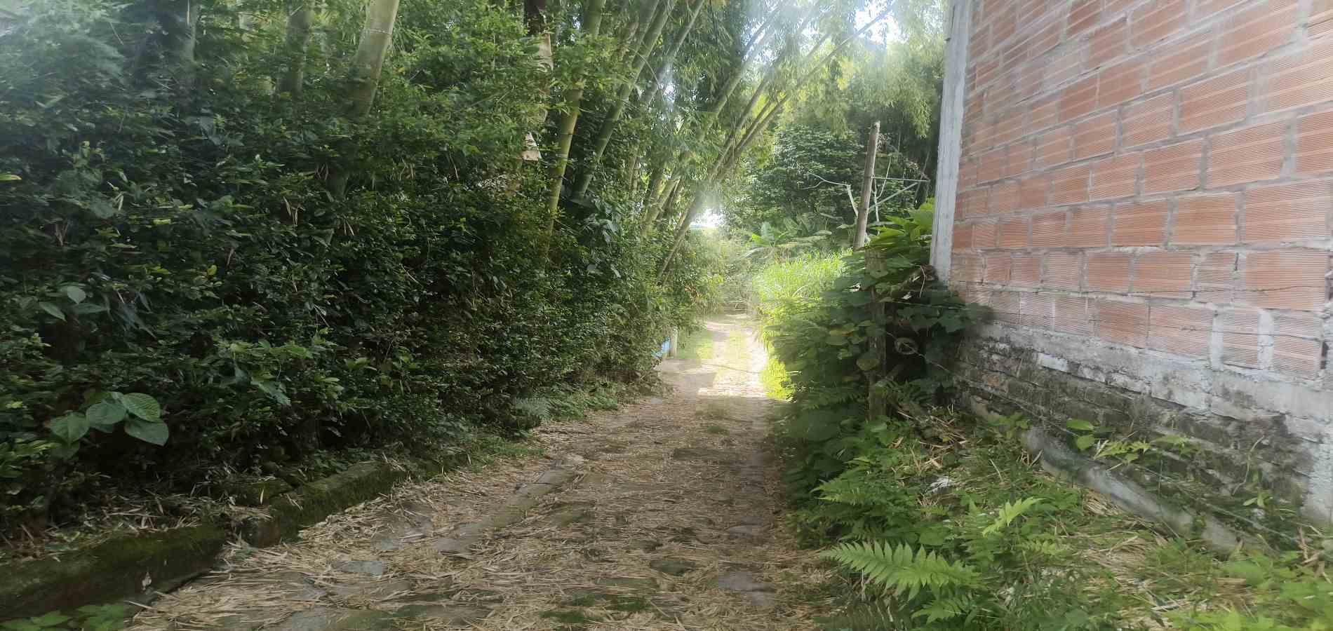 Foto de Bodega en Arriendo en Vereda la cristalina, Circasia - 11 - 279068220