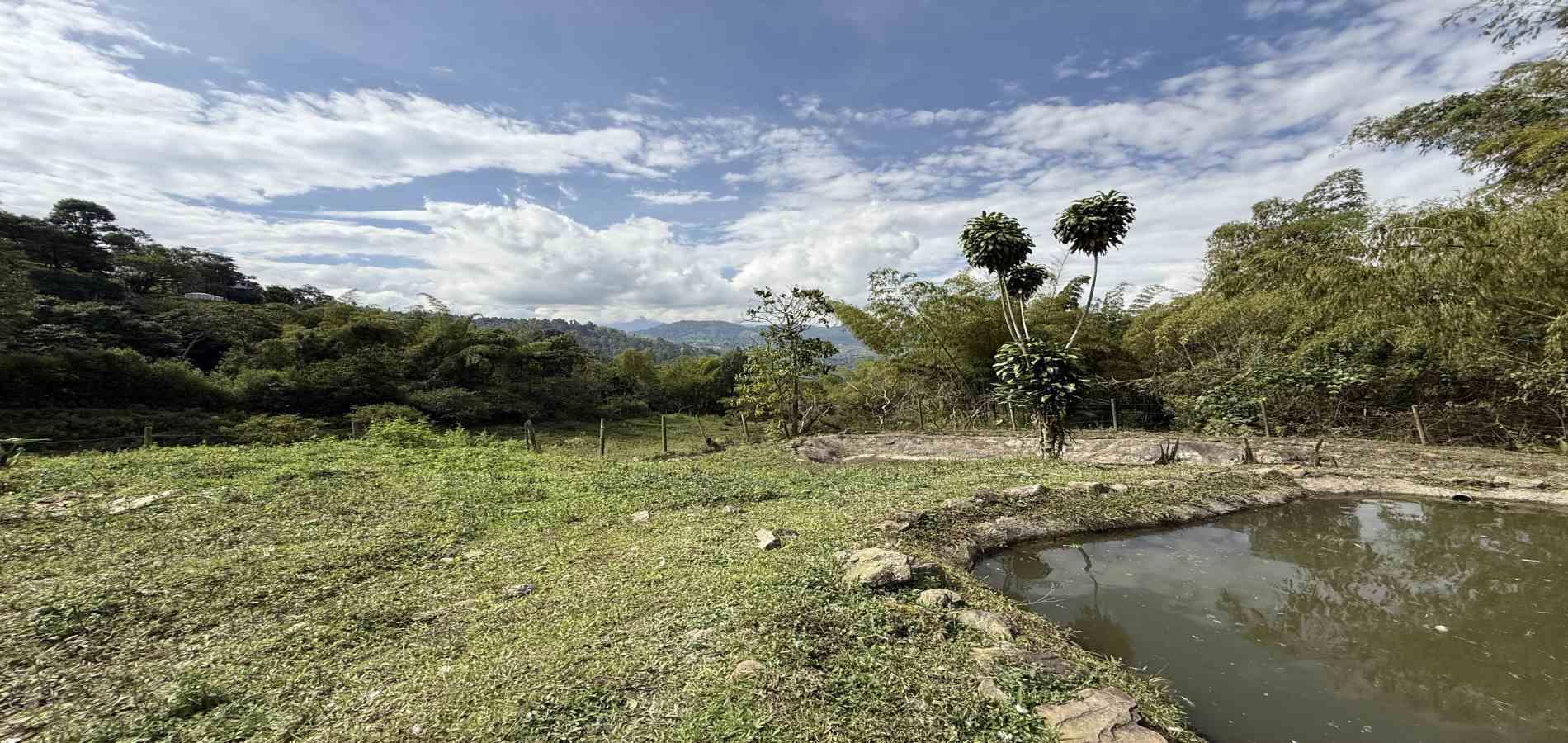 Foto de Finca en Venta en Agua azul, Dosquebradas - 40 - 279063271