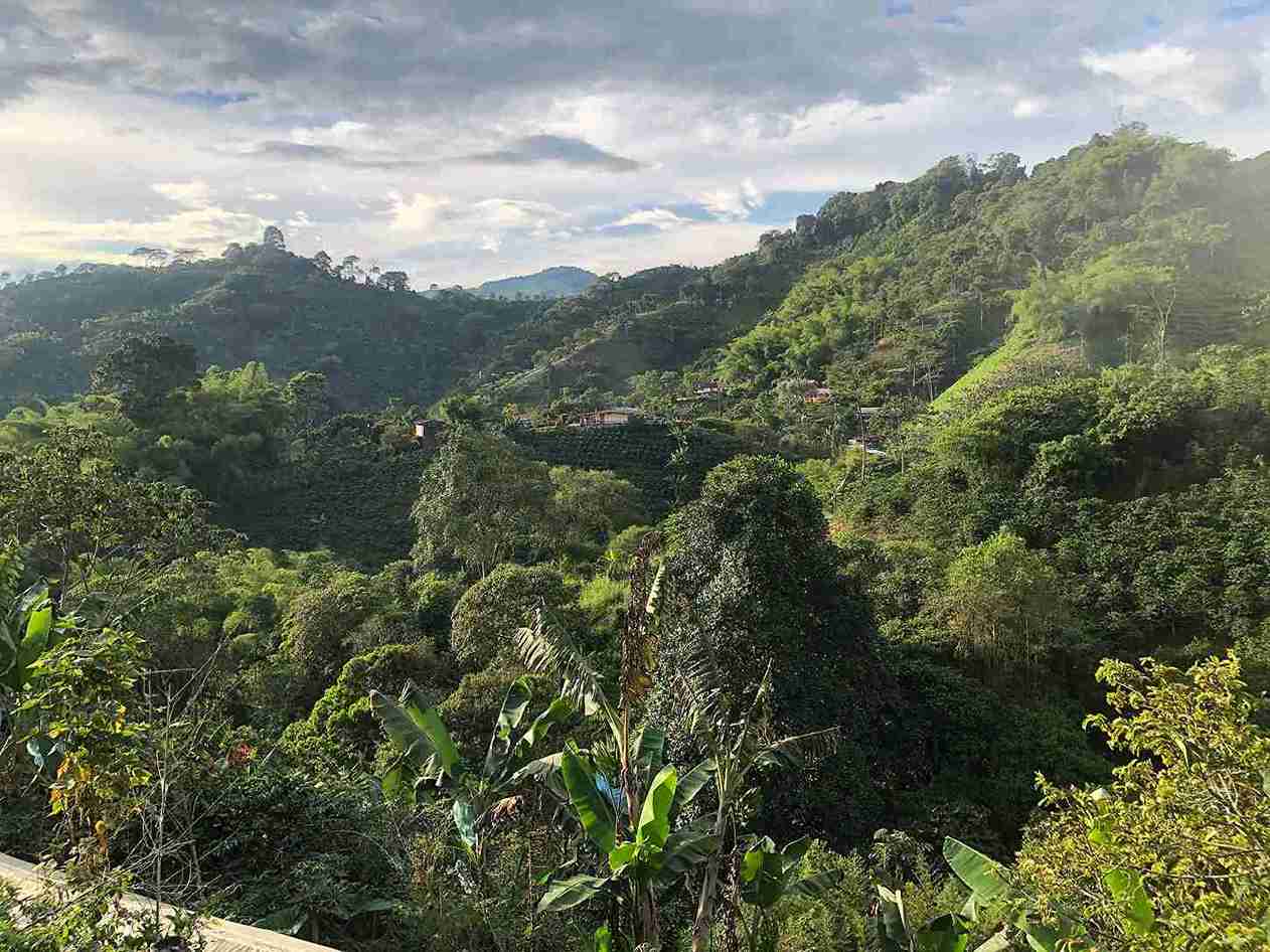 Foto de Finca en Venta en Combia, Pereira - 1 - 279052850