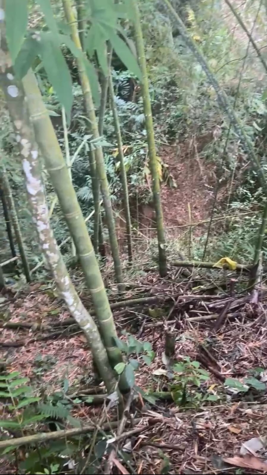 Foto de Lote / terreno en Venta en Via armenia, Pereira - 1 - 279066595