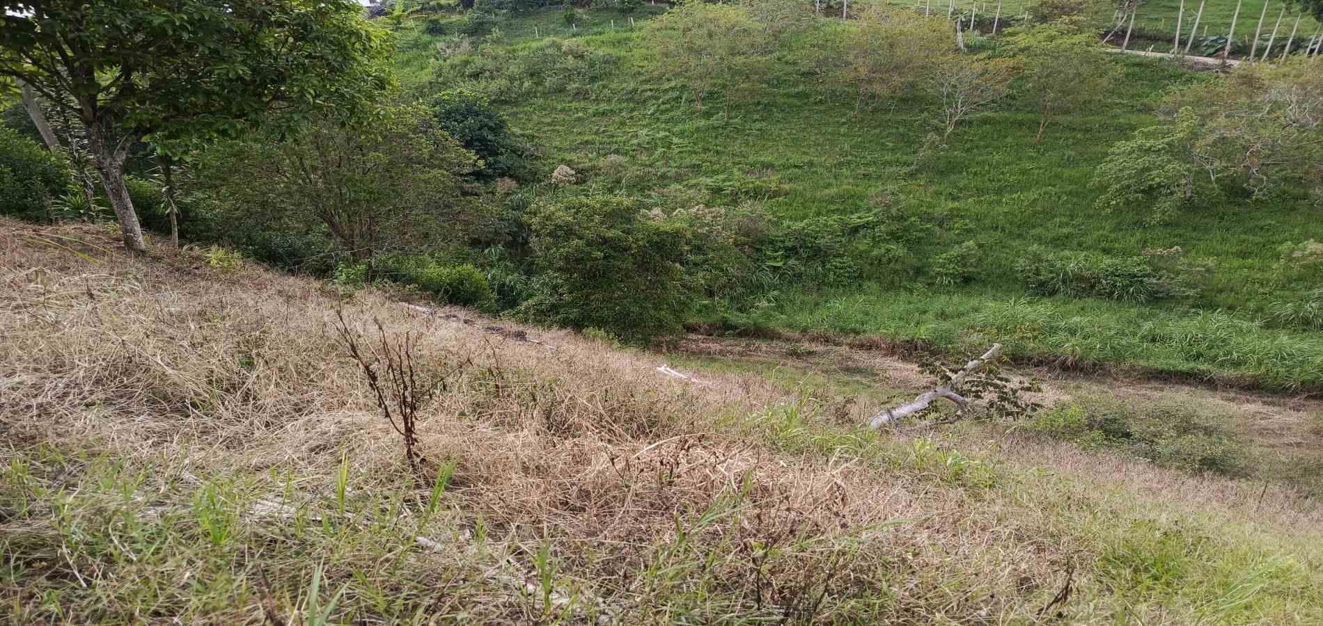 Foto de Lote / terreno en Venta en Via alcala, Pereira - 8 - 279061897