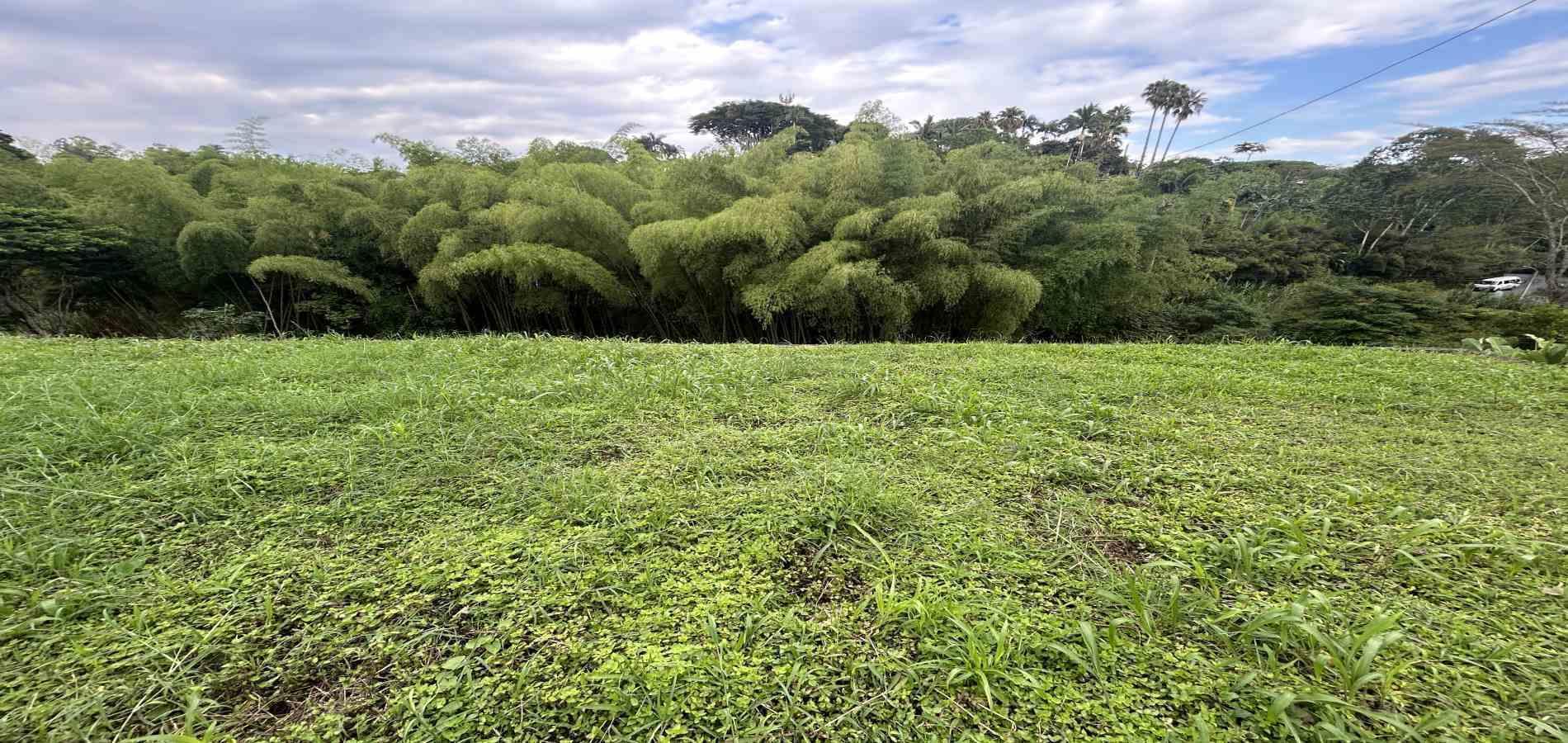 Foto de Lote / terreno en Venta en Pueblito cafetero, Pereira - 9 - 279068769