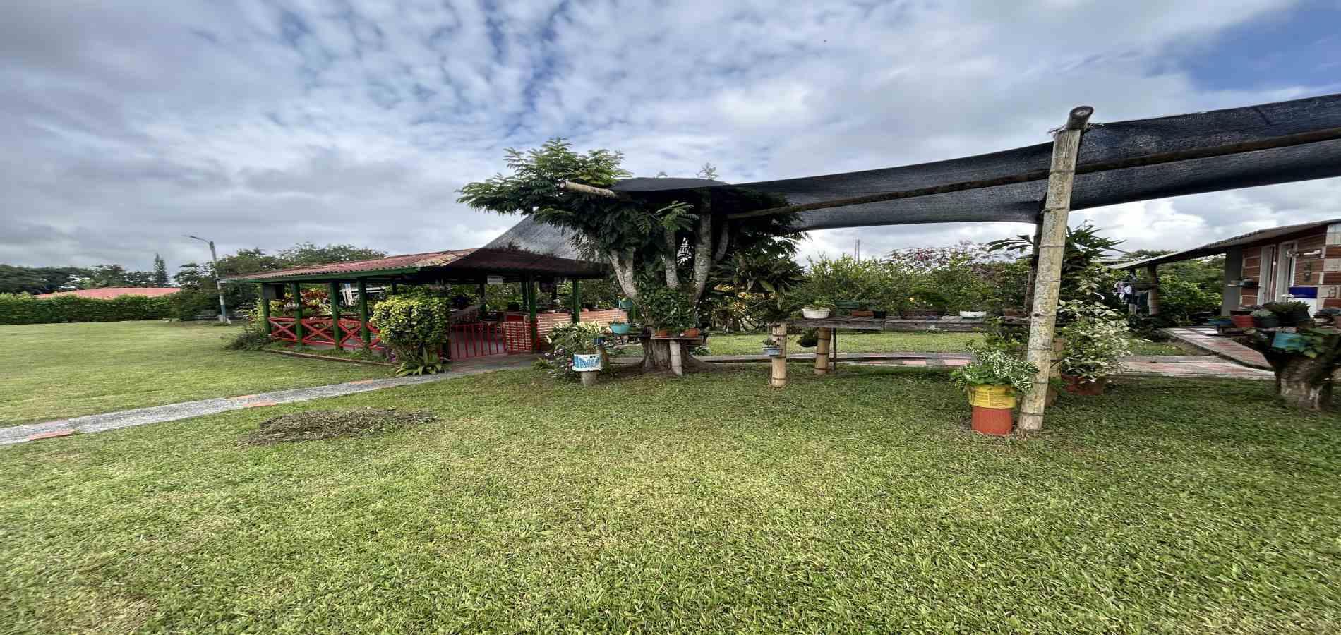 Foto de Finca en Venta en Morelia, Pereira - 31 - 279067012