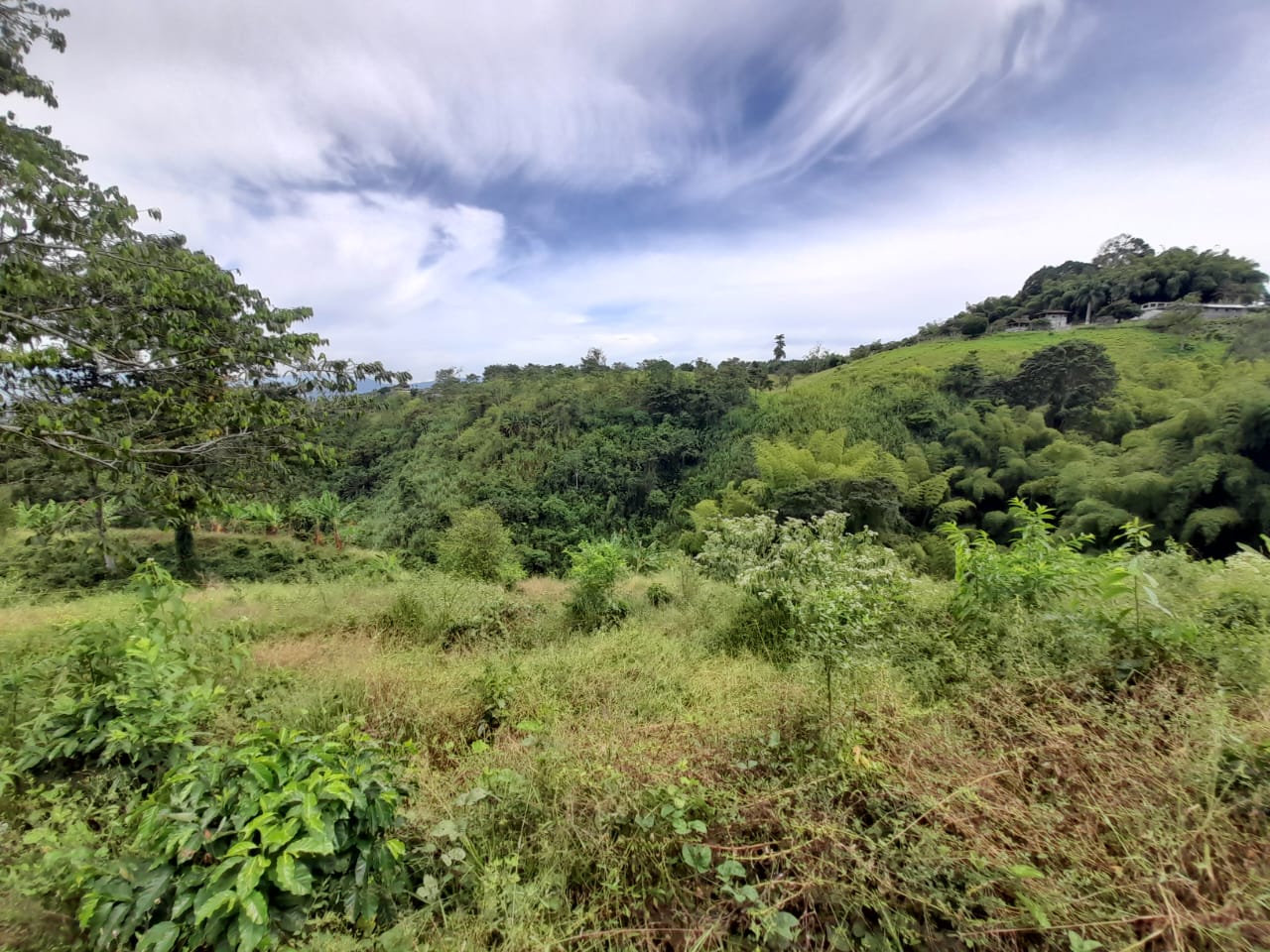 Foto de Lote / terreno en Venta en Arabia, Pereira - 17 - 279059189