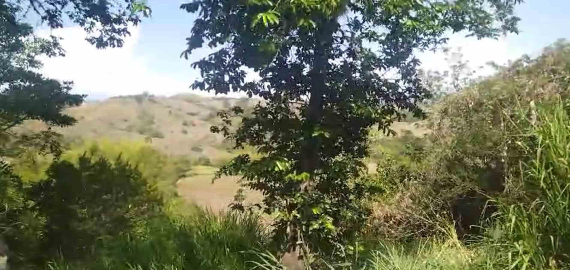 Foto de Finca en Venta en La florida, Filadelfia - 8 - 279064213