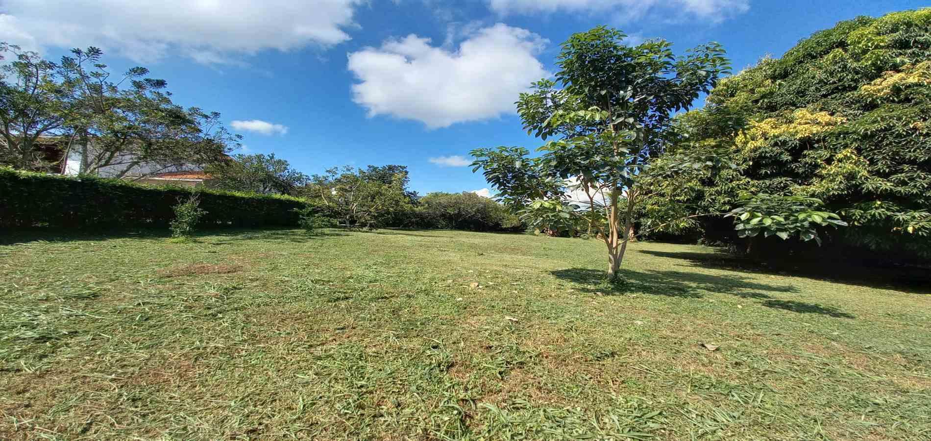 Foto de Lote / terreno en Venta en Vereda santagueda, Palestina - 23 - 279060420