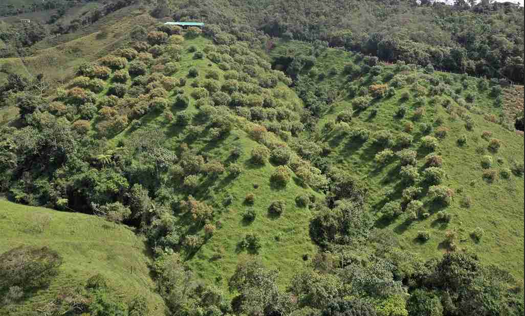 Foto de Finca para Venta en Vereda aguadita, Fresno - 279054270