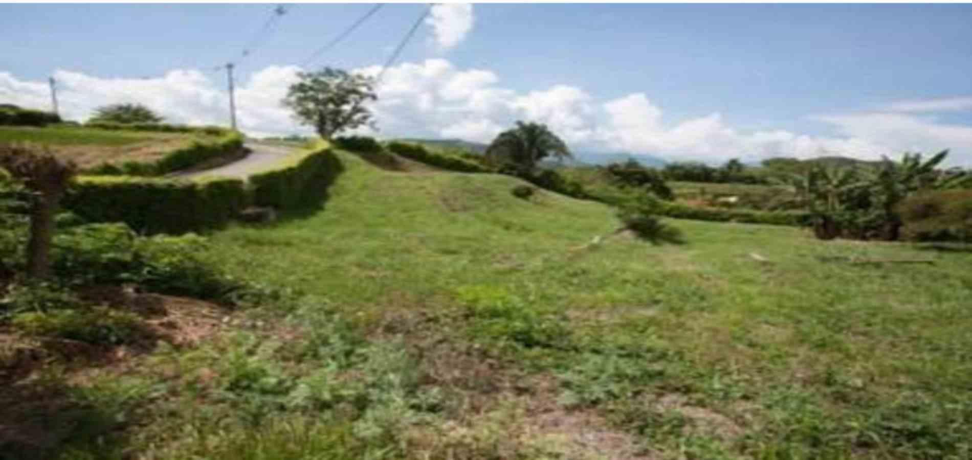 Foto de Lote / terreno en Venta en Vereda santagueda, Palestina - 2 - 279053622
