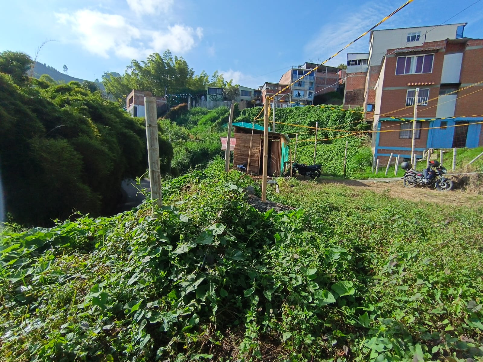 Foto de Lote / terreno en Venta en Bellavista, Villamaria - 15 - 279067096