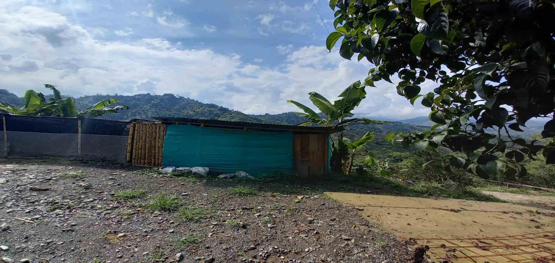 Foto de Finca en Venta en San peregrino, Manizales - 2 - 279061656