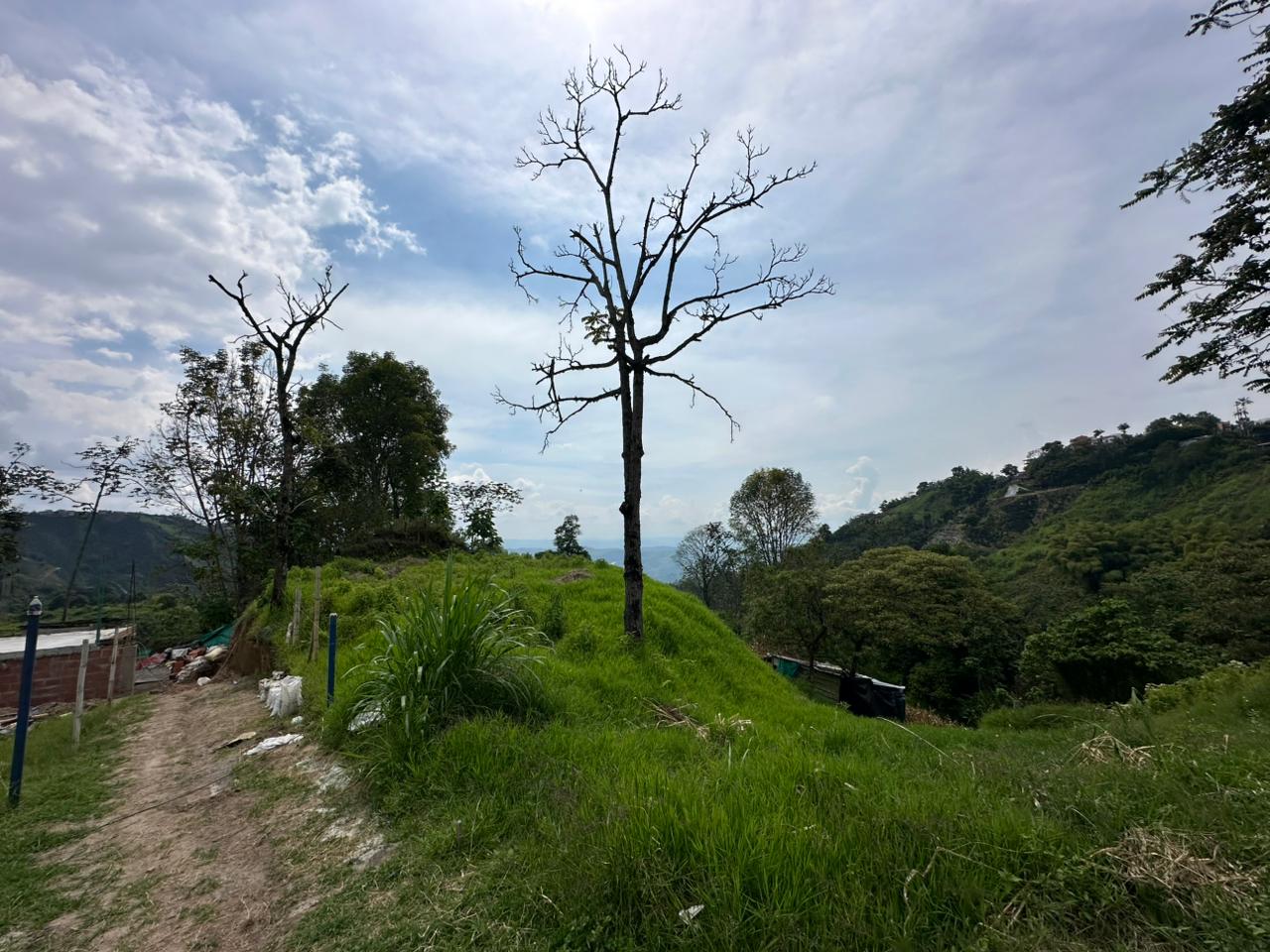 Foto de Lote / terreno para Venta en Arenillo, Manizales - 279067215