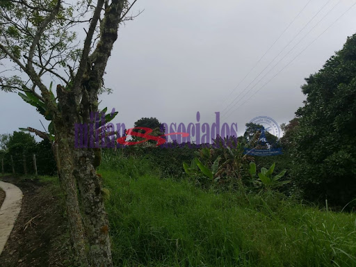Foto de Finca en Venta en Vereda san luis , Filadelfia - 13 - 279013551