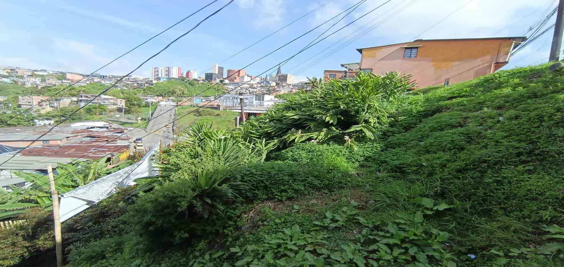 Foto de Lote / terreno en Venta en Campo amor, Manizales - 16 - 279067419