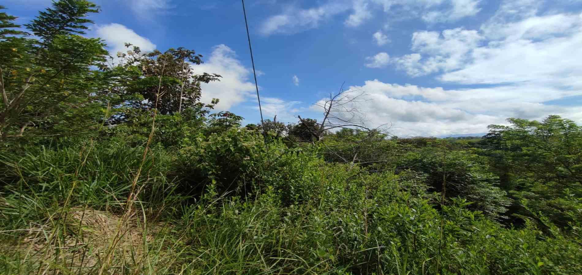 Foto de Lote / terreno en Venta en Cerritos, Pereira - 11 - 279063220