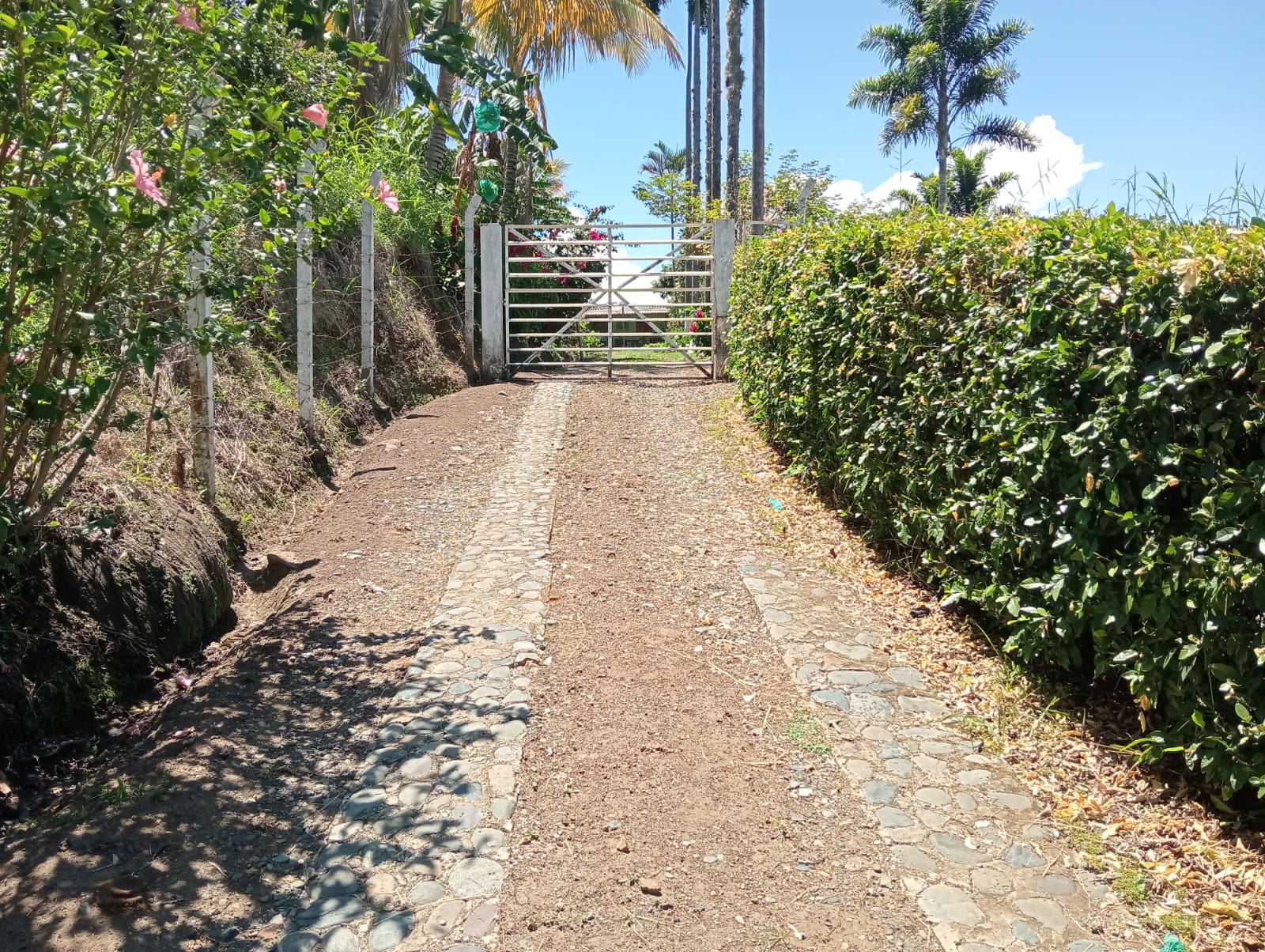 Foto de Finca en Venta en Anserma, Anserma - 17 - 279070221