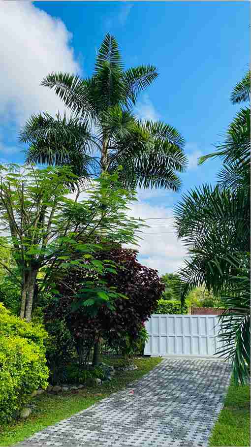 Foto de Casa campestre en Venta en Kilometro 41, Manizales - 3 - 279057052