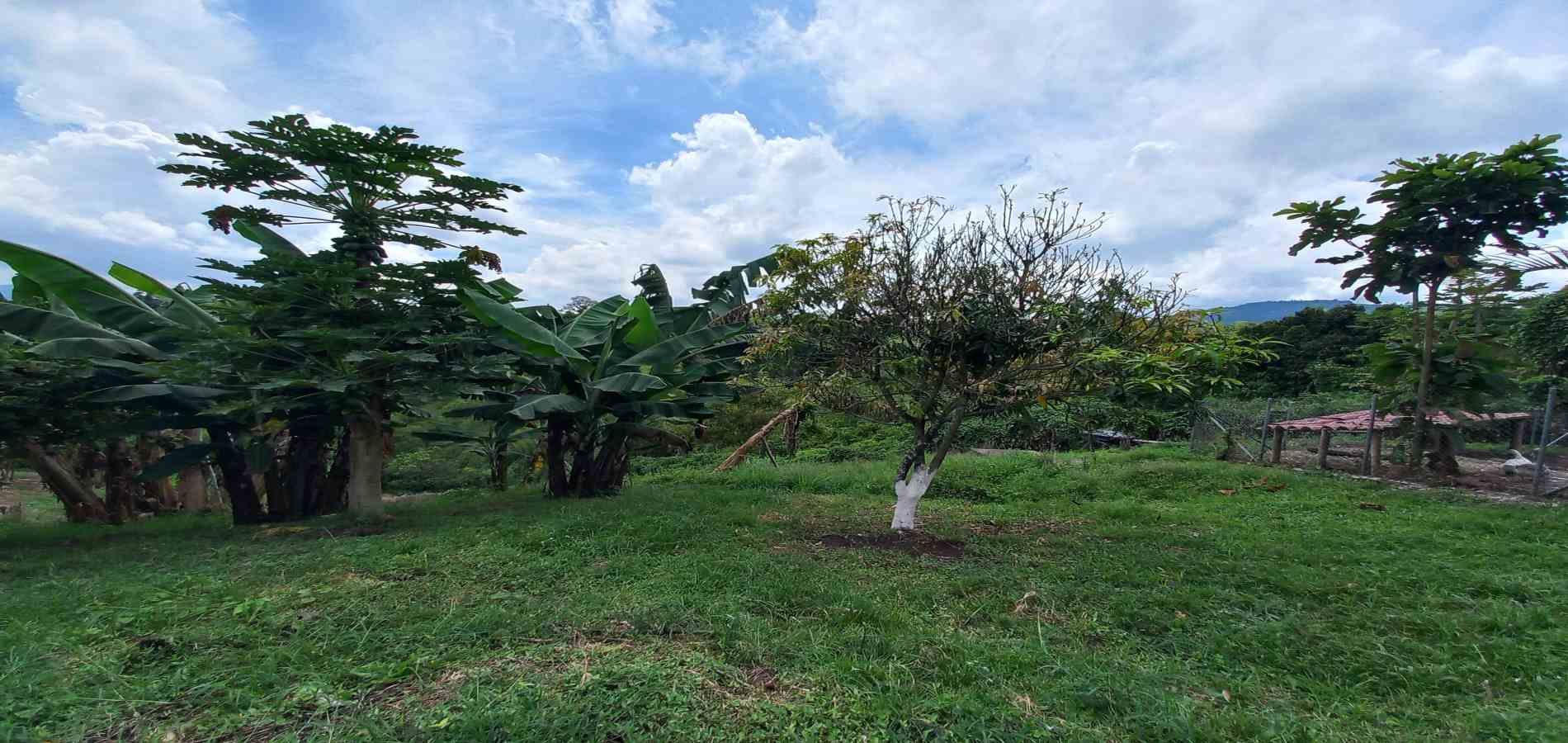 Foto de Casa campestre en Venta en Mundo nuevo, Pereira - 12 - 279068410