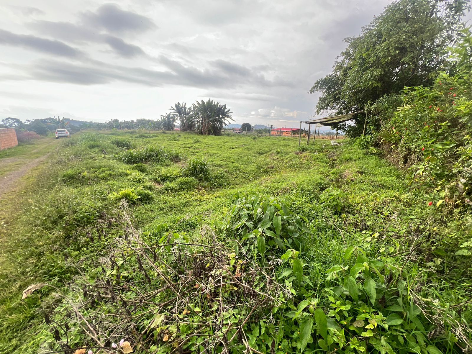 Foto de Lote / terreno para Venta en Vereda la bella, Pereira - 279065985