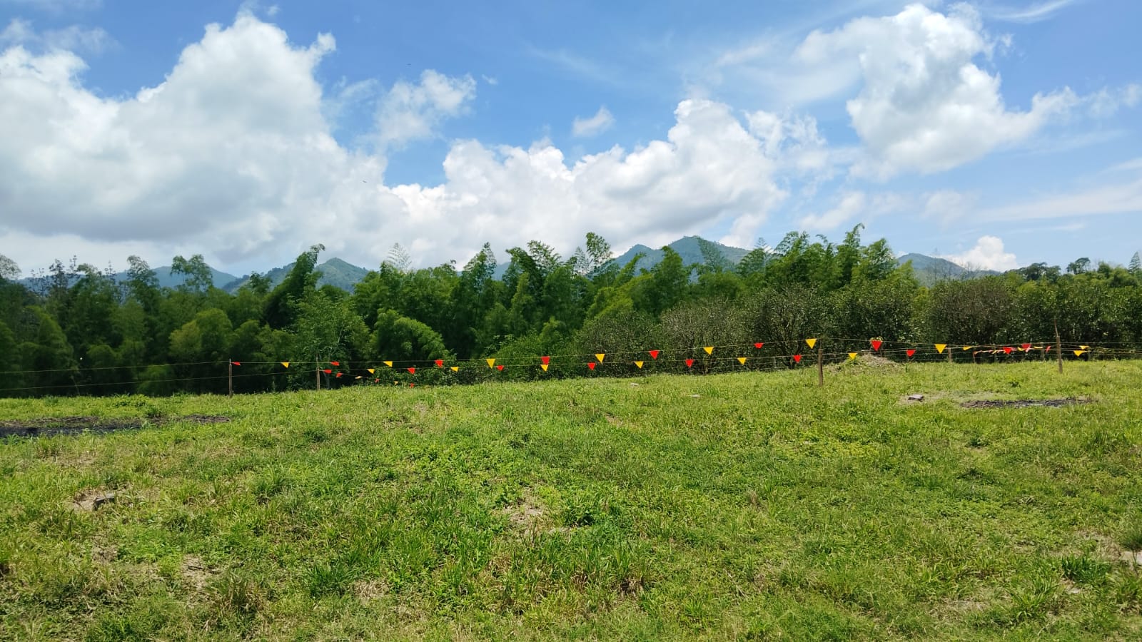 Foto de Lote / terreno en Venta en Anserma, Anserma - 9 - 279069118