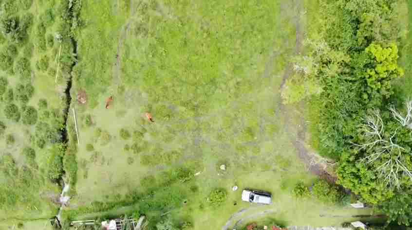 Foto de Lote / terreno en Venta en Vereda santagueda, Palestina - 7 - 279057325