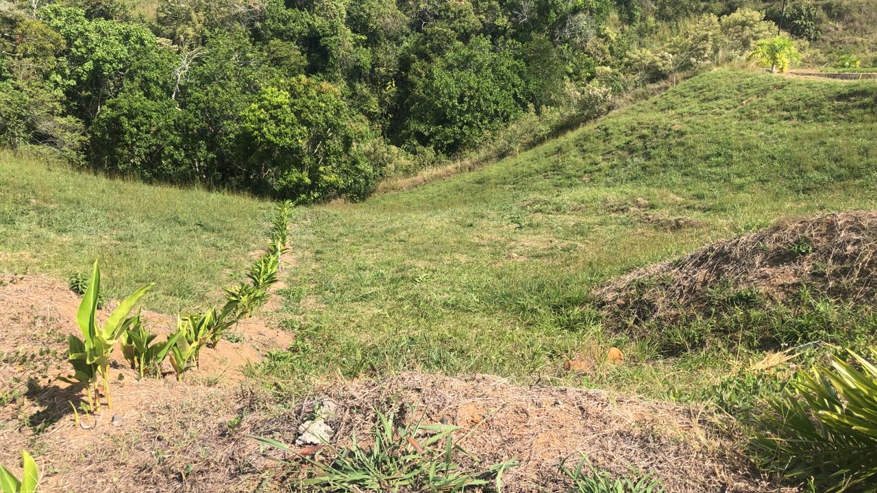 Foto de Lote / terreno en Venta en Cerritos, Pereira - 5 - 279055628