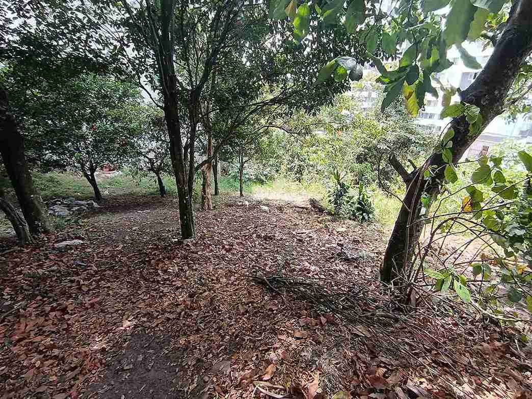 Foto de Lote / terreno para Venta en Avenida 19 norte, Armenia  - 279058970