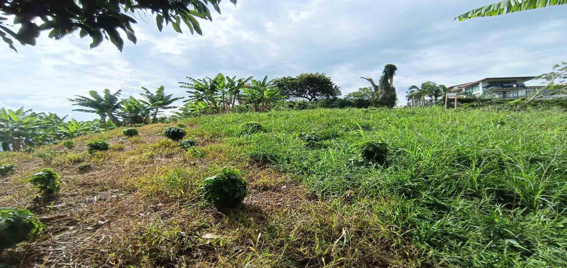 Foto de Lote / terreno en Venta en San peregrino, Manizales - 6 - 279068552