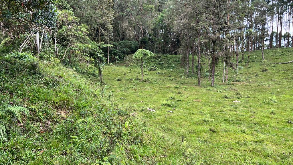 Foto de Lote / terreno en Venta en Via armenia, Pereira - 15 - 279066674
