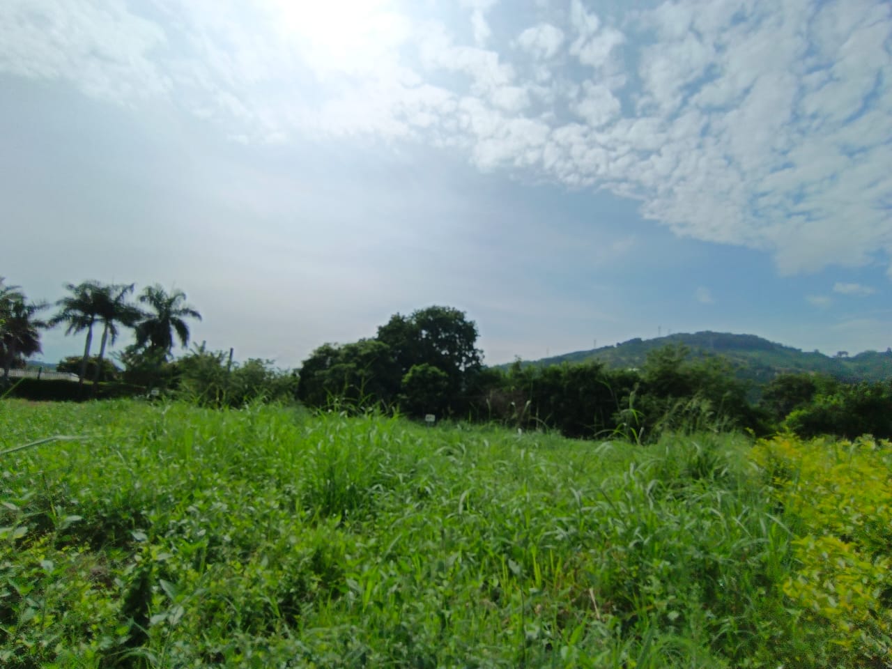 Foto de Lote / terreno en Venta en Vereda santagueda, Palestina - 1 - 279063605