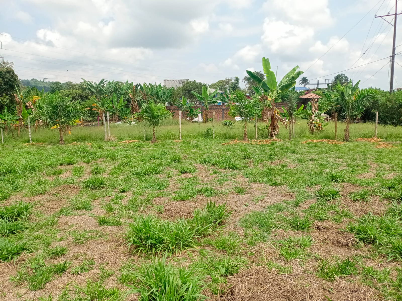 Foto de Lote / terreno en Venta en Santa rosa de cabal, Santa rosa de cabal - 5 - 279059203