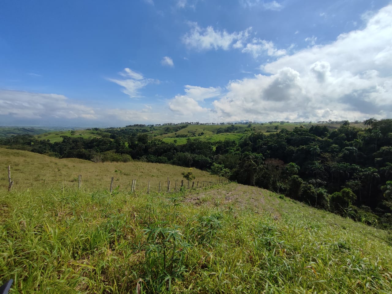 Foto de Lote / terreno para Venta en Centro, Pereira - 279063218