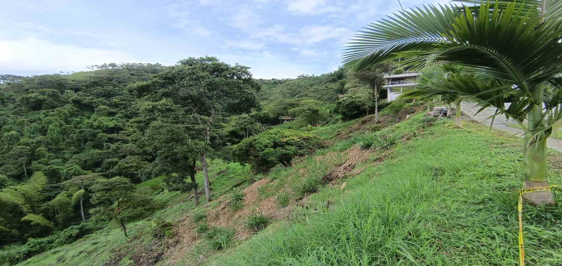 Foto de Lote / terreno en Venta en Vereda minitas , Manizales - 8 - 279068548