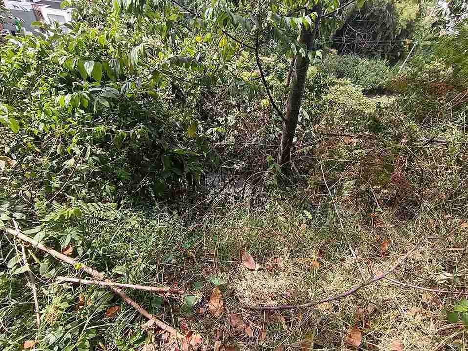 Foto de Lote / terreno en Venta en Avenida 19 norte, Armenia  - 2 - 279058970