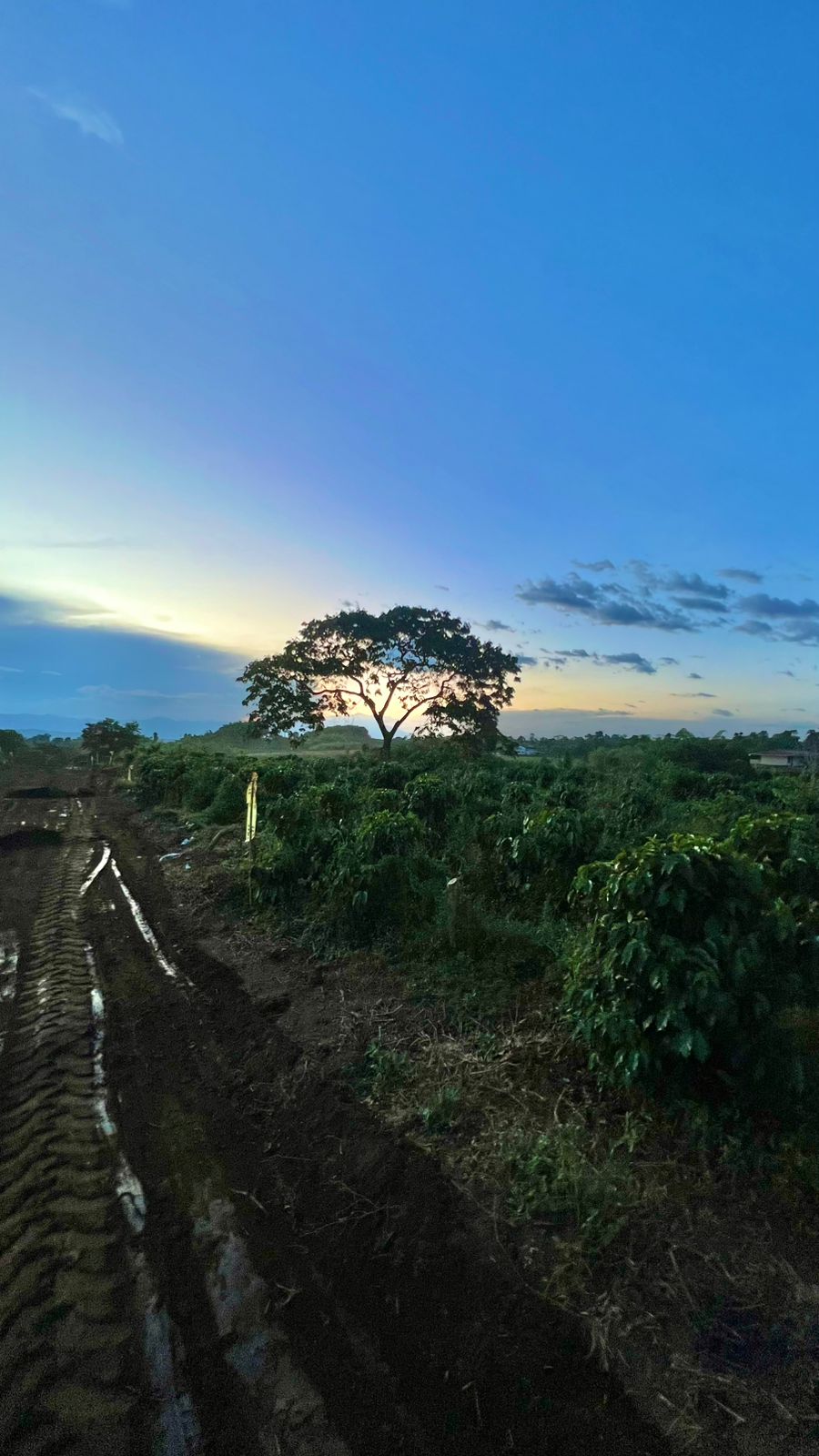 Foto de Lote / terreno en Venta en La mesa, Quimbaya - 1 - 279063865