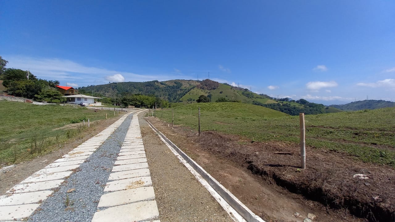 Foto de Lote / terreno en Venta en Vereda santagueda, Palestina - 21 - 279058796