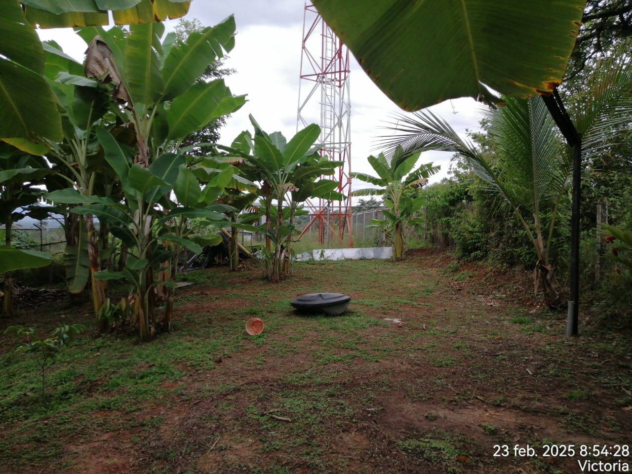 Foto de Finca en Venta en Victoria, Victoria - 13 - 279061622