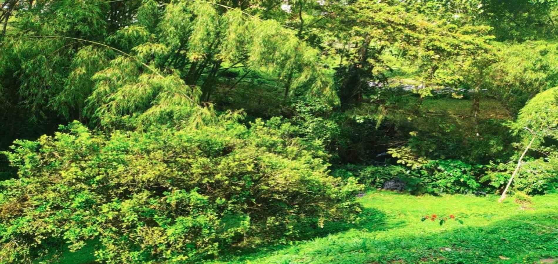 Foto de Finca en Venta en Tribunas consota, Pereira - 19 - 279053616