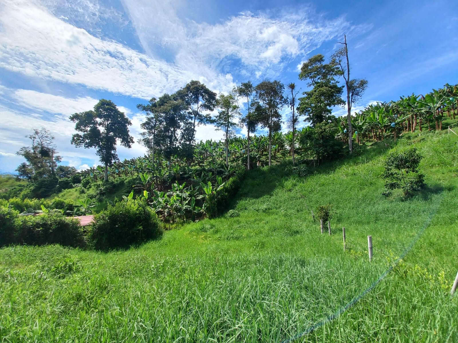 Foto de Lote / terreno en Venta en Vereda altamira, Pereira - 8 - 279067754
