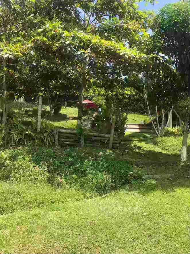 Foto de Casa campestre en Venta en Palermo, Manizales - 21 - 51526