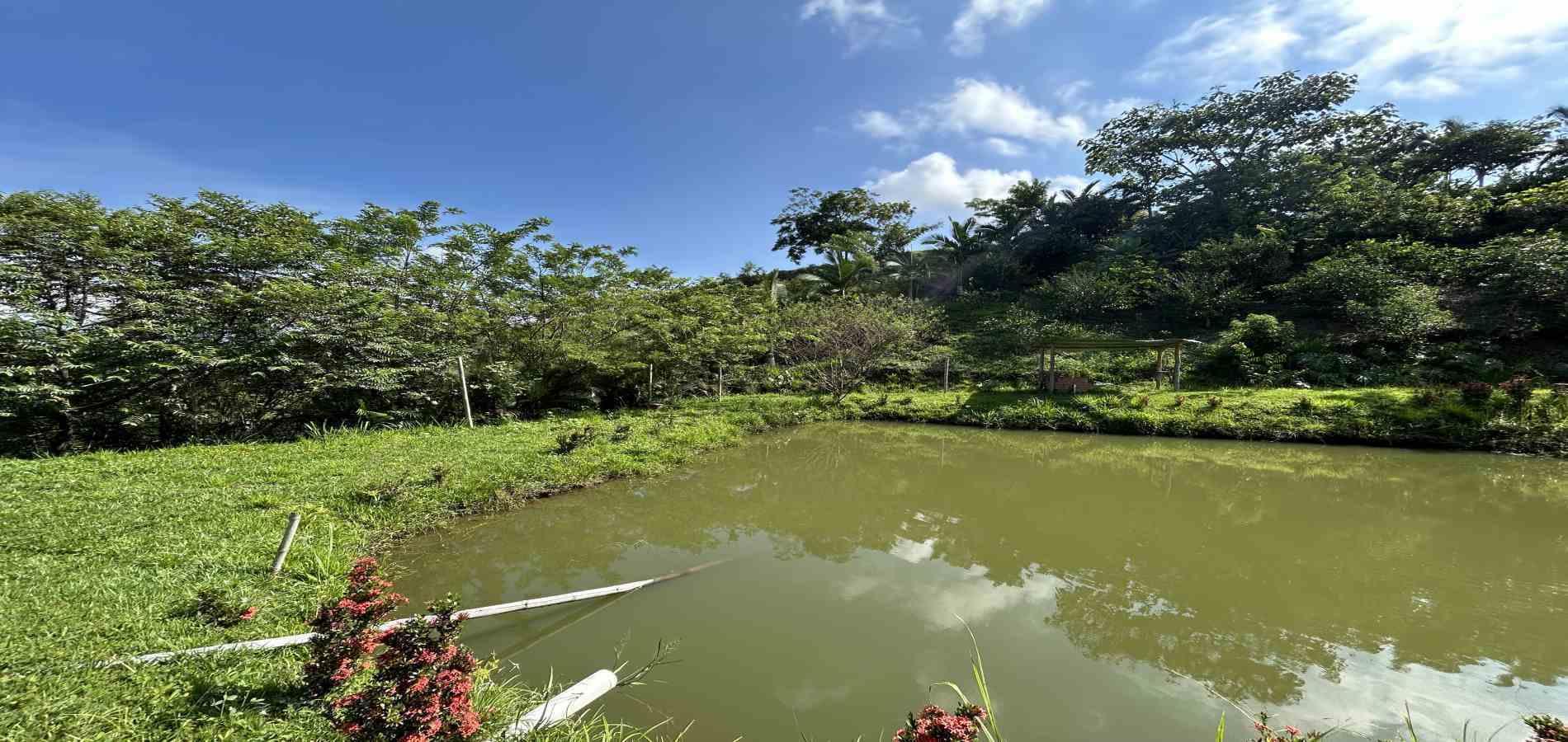 Foto de Lote / terreno en Venta en Cerritos, Pereira - 6 - 279068246